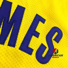 Camisa Lakers 23/24 Lebron James - comprar online