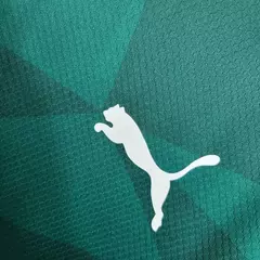 Camisa Palmeiras 23/24 na internet