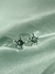Brinco Flor Cristal