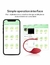 Huevo Bala II SUCCUBUS - USB + APP en internet