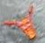 TANGA BORBOLETA - loja online