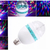 lâmpada de led colorida giratória - lâmpada de led festiva - envio imediato na internet