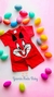Conjunto coelhinho