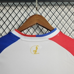 Camisa Fortaleza 23/24 - loja online