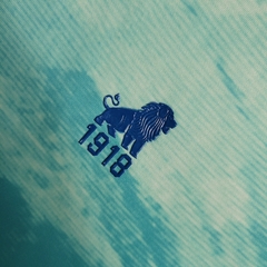 Imagem do Camisa Fortaleza Edição Especial 23/24