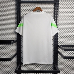 Camisa Treino Palmeiras 23/24
