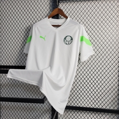 Camisa Treino Palmeiras 23/24 - comprar online