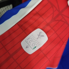 Imagem do Camisa Cristal Palace 23/24