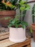 Cilindro grande con plato - tienda online