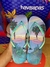 Havaianas slim paisagem desenhada