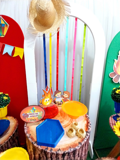 FESTA JUNINA na internet