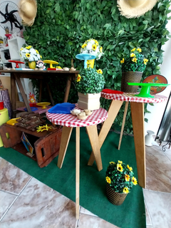 FESTA JUNINA - comprar online