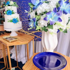 Azul - Rit's festas - locação e decoração