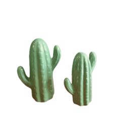 Cacto cerâmica