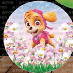 Painel da Patrulha canina, 1,50M