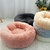 Caminha para pets