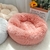 Caminha para pets - World Market