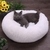 Imagem do Caminha para pets