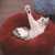 Caminha para pets - loja online