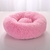Caminha para pets