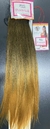 Imagem do Aplique Rabo De Cavalo Liso (SUNNY) - Yan Hair 75cm Com Elástico