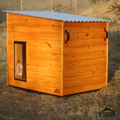 Casas térmicas para perros