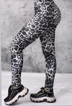 CALZAS ABEL - comprar online