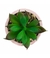 Vaso Rosa Cimento Planta Artificial Verde 8.5x6x6cm na internet