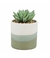 Vaso Porcelana Planta Artificial Modelo B11x8x8cm na internet