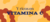 Banner de bugaloo