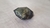 D20 Night Bright - comprar online