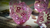 Preventa - Set New Sakura (leer descripción) - comprar online