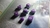Set Palmon Claws