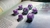 Set Palmon Claws - comprar online
