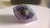 D20 skull v2