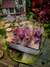 Set Endless Universe - comprar online