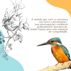 Cantos em Cores - Mandala & Cor