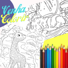 Aventuras Coloridas na internet