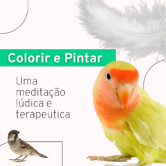 Cantos em Cores - comprar online