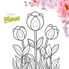 Imagem do 50 Mandalas Premium + Bônus