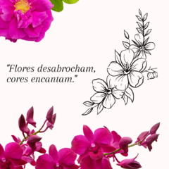 Imagem do Sintonia das Flores