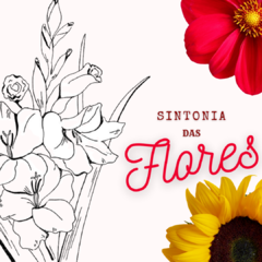 Sintonia das Flores na internet