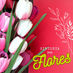 Sintonia das Flores