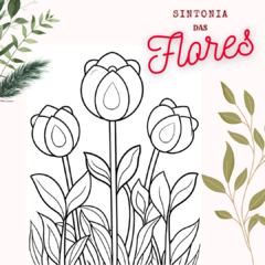 Sintonia das Flores na internet