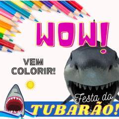 Festa do Tubarão!