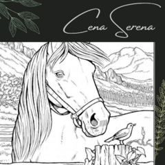 Imagem do Cena Serena