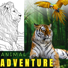 Animal Adventures