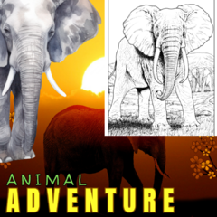 Animal Adventures - Mandala & Cor