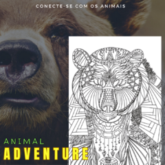 Animal Adventures - comprar online