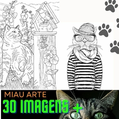 Imagem do Miau Arte